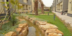 Park Area 1