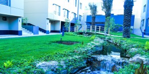 Park Area 2